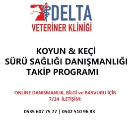 Hakkımızda