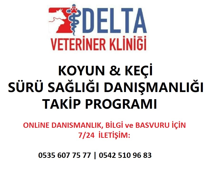 Hakkımızda